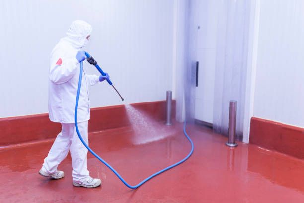 Best Building Exterior Pressure Washing in Byron, MN