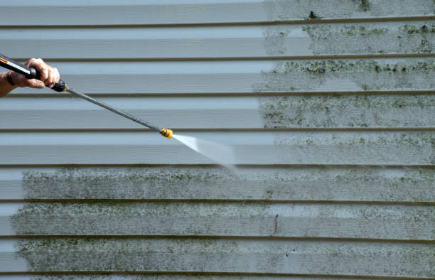Best Brick and Stone Cleaning in Byron, MN
