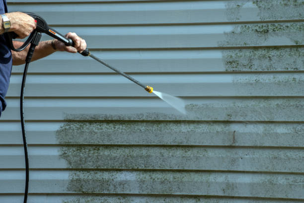 Best Soft Washing for Delicate Surfaces in Byron, MN