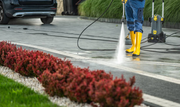 Best Driveway Cleaning and Restoration in Byron, MN